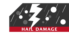 btn-vid-hail-normal